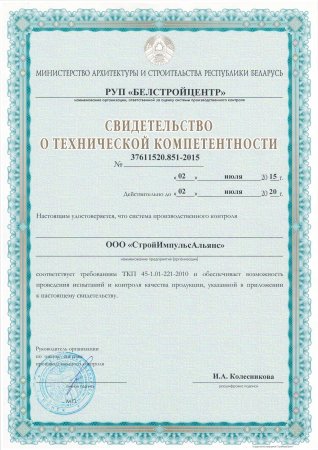 Техническая компетентность — 1